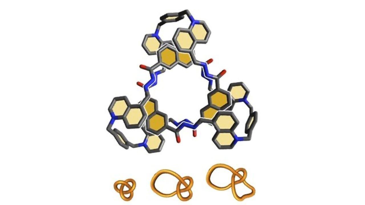 Tying Molecules in Knots