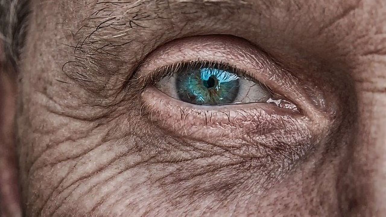 A Molecular Atlas of Skin Cells