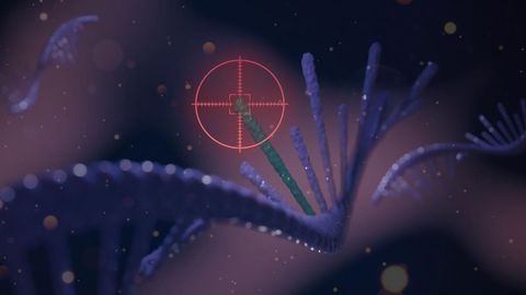 SNIPRs Take Aim at Disease-related Mutations