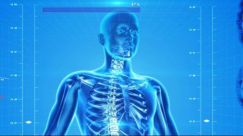 The First Cell Atlas for the Human Thymus