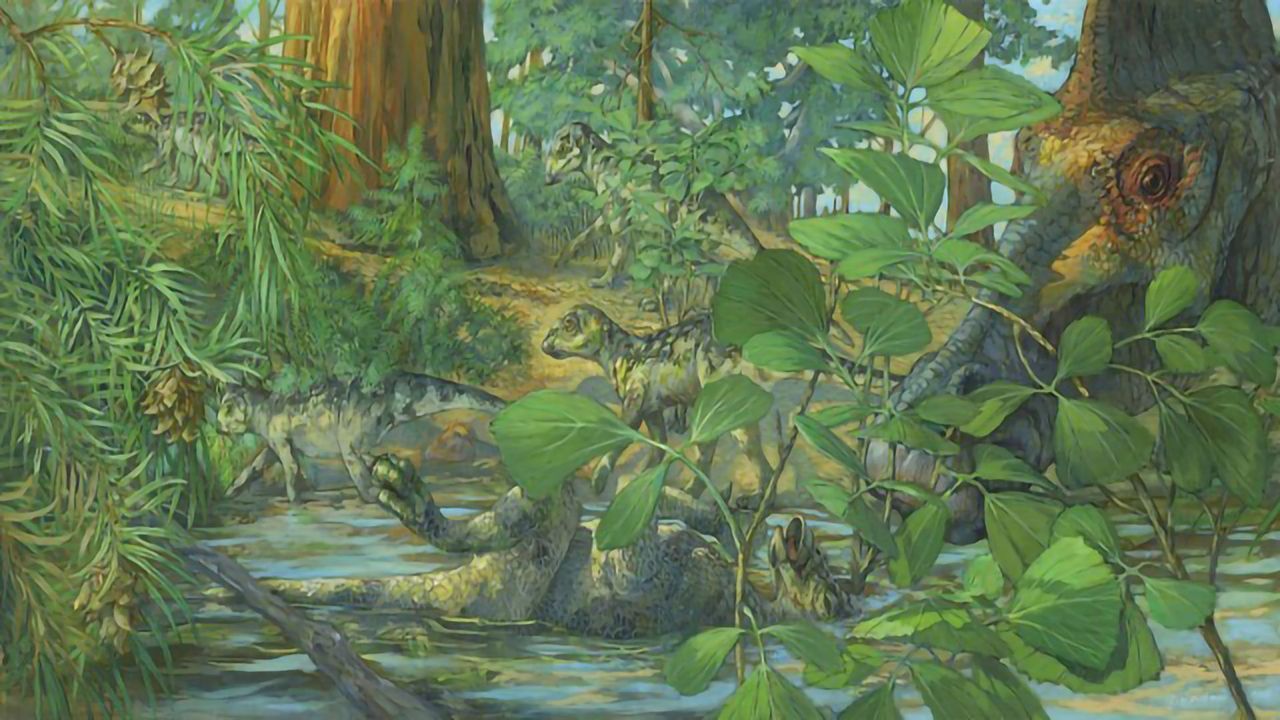 Preserved Baby Duck-billed Dinosaur DNA Is Discovered