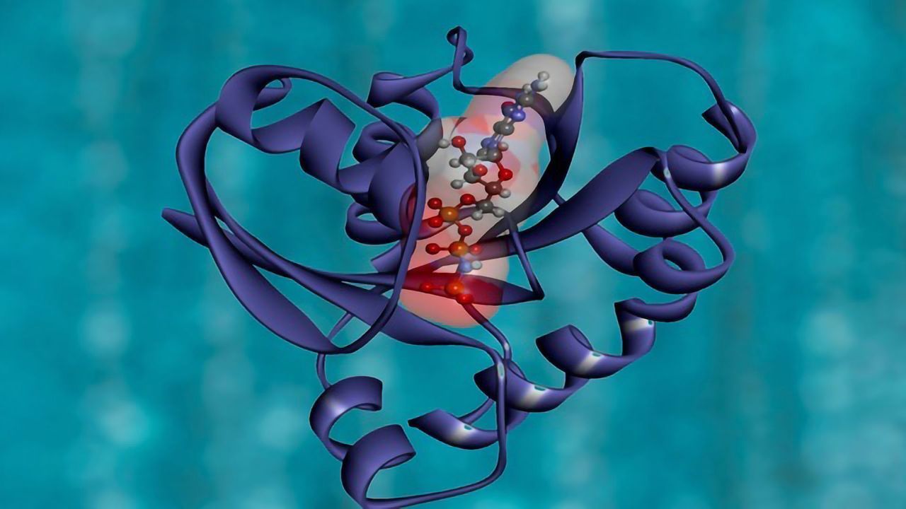 Will the Potential of Proteomics Be Realized in 2020?
