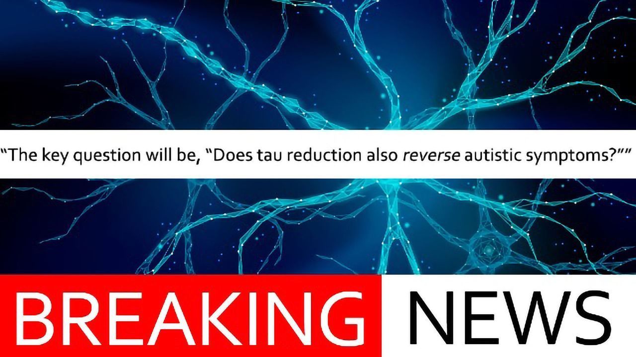 Suppressing Alzheimer’s Protein Prevents Autism Symptoms in Mouse Model
