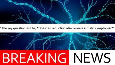Suppressing Alzheimer’s Protein Prevents Autism Symptoms in Mouse Model