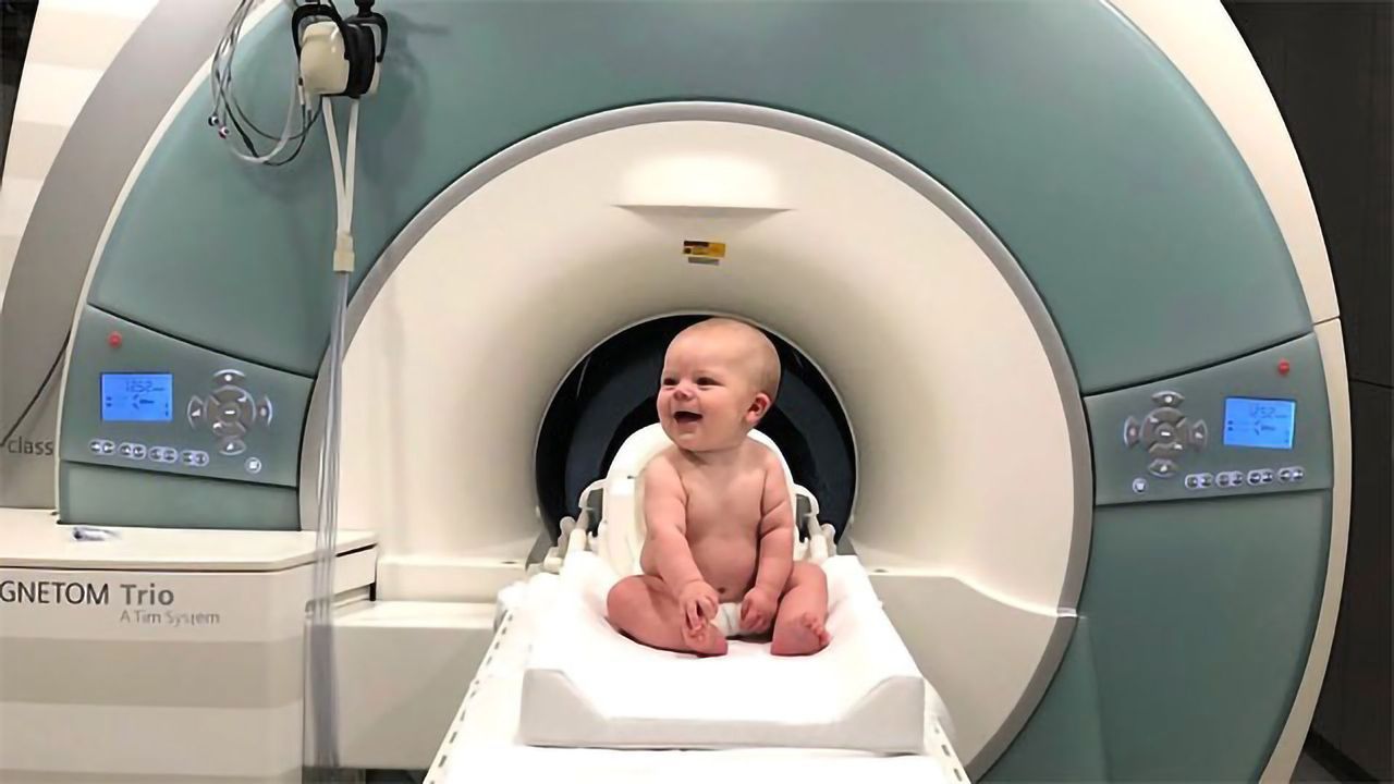 Visual Cortex Study Explores the Beginnings of Babies' Brains