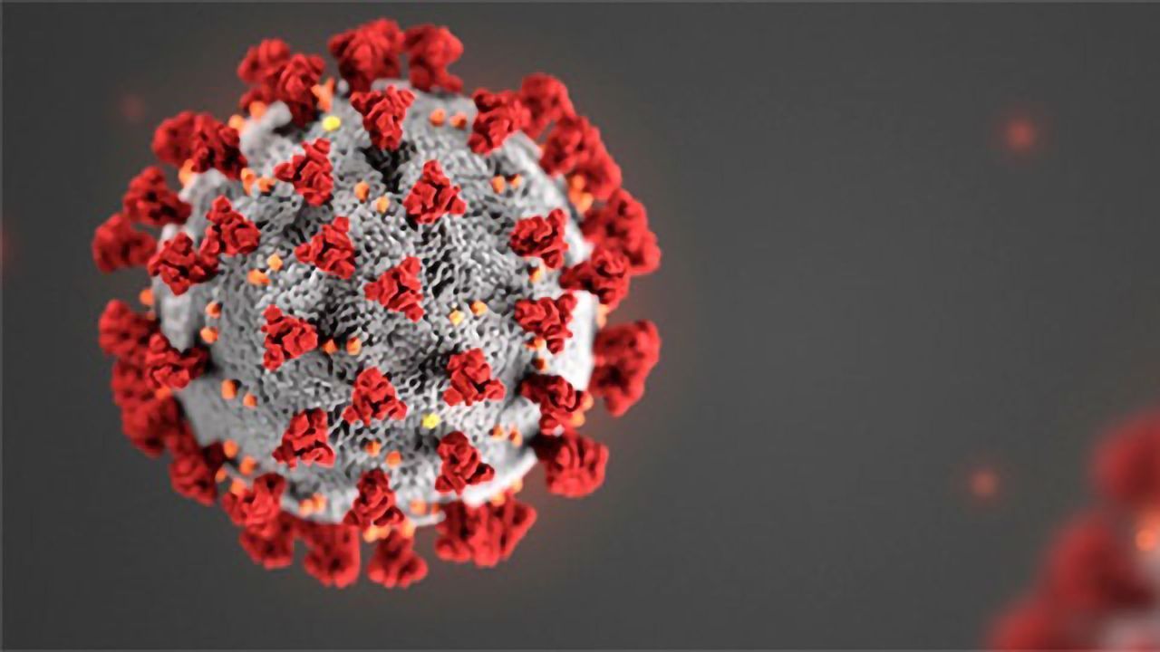Complete Genome Sequence for Coronavirus in Brazil Published