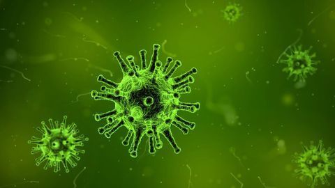 Study Provides Insights Into How Cells Defend Themselves From Viruses