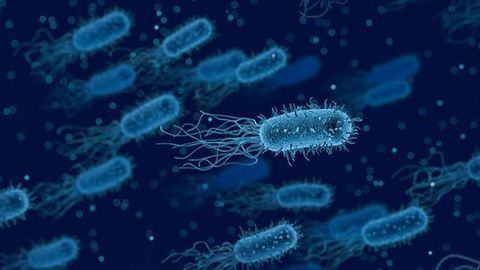 Team Start Testing Superbug-killing Compound