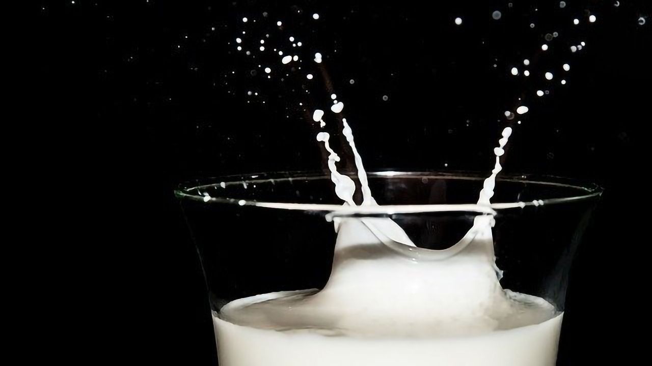 5,000-year-old Milk Proteins Unlock History of Dairying