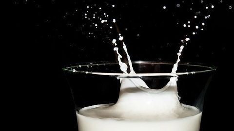 5,000-year-old Milk Proteins Unlock History of Dairying