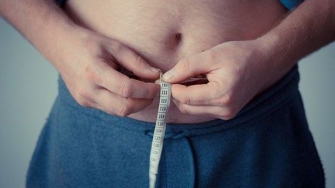 Signals From Fat Trigger Immune Cascade That Damages Cognition