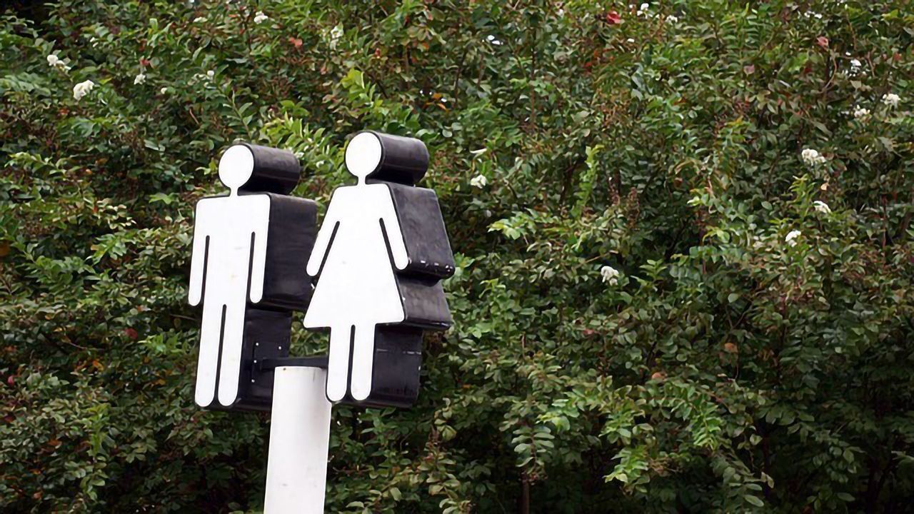 "Y" Do Men and Male Animals Die Younger? It's All About Chromosomes
