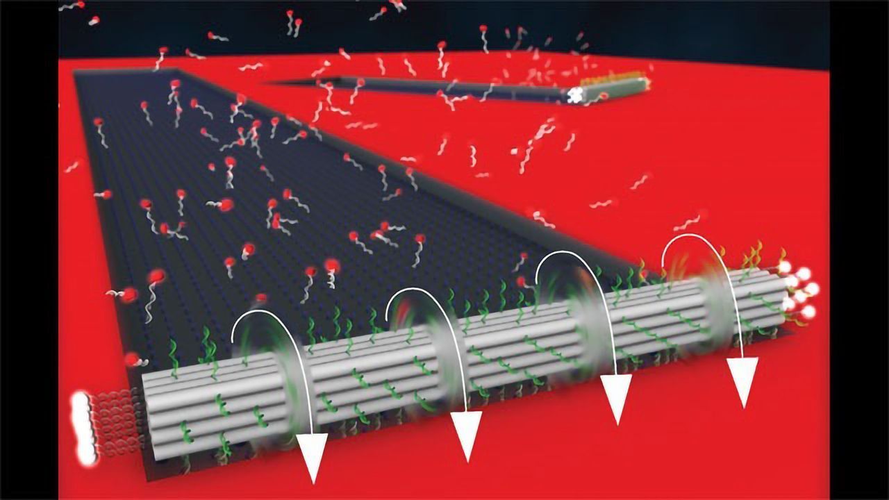 New DNA Origami Motor Breaks Speed Record
