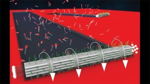 New DNA Origami Motor Breaks Speed Record