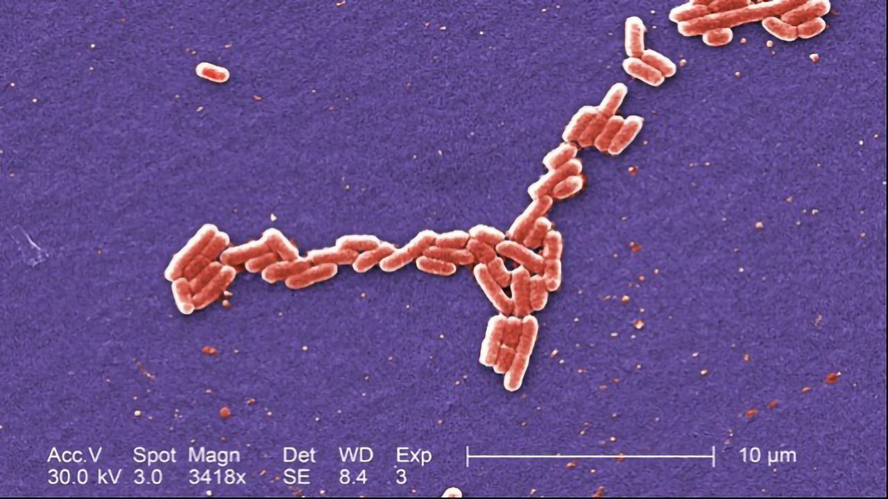Redesigning the Way Bacteria "Talk" to Each Other