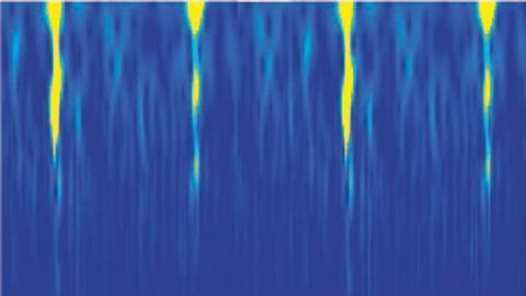 Disordered Neurons Make Every Breath We Take Unique