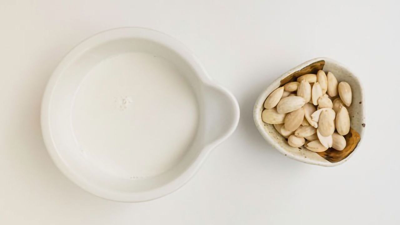 Benefits of Eating More Plant Protein and Dairy Instead of Red Meat