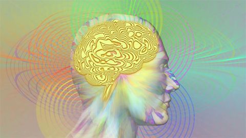 Understanding How the Brain Predicts Could Give Autism Insight