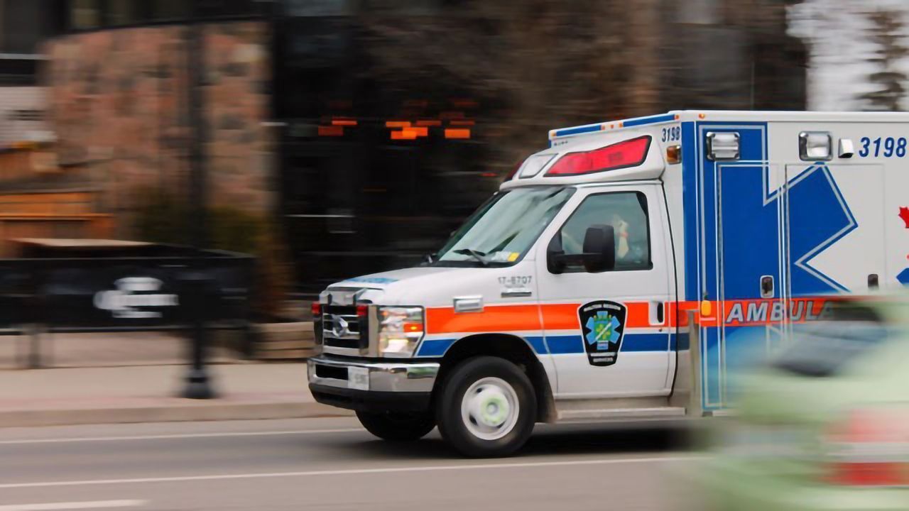Over a Third of Survivors Show PTSD Symptoms After Trauma and Violence