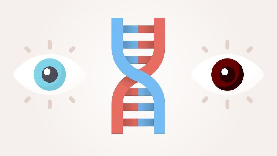 Cartoon of a DNA strand between a pair of eyes, one with a blue pupil and one with a brown pupil.