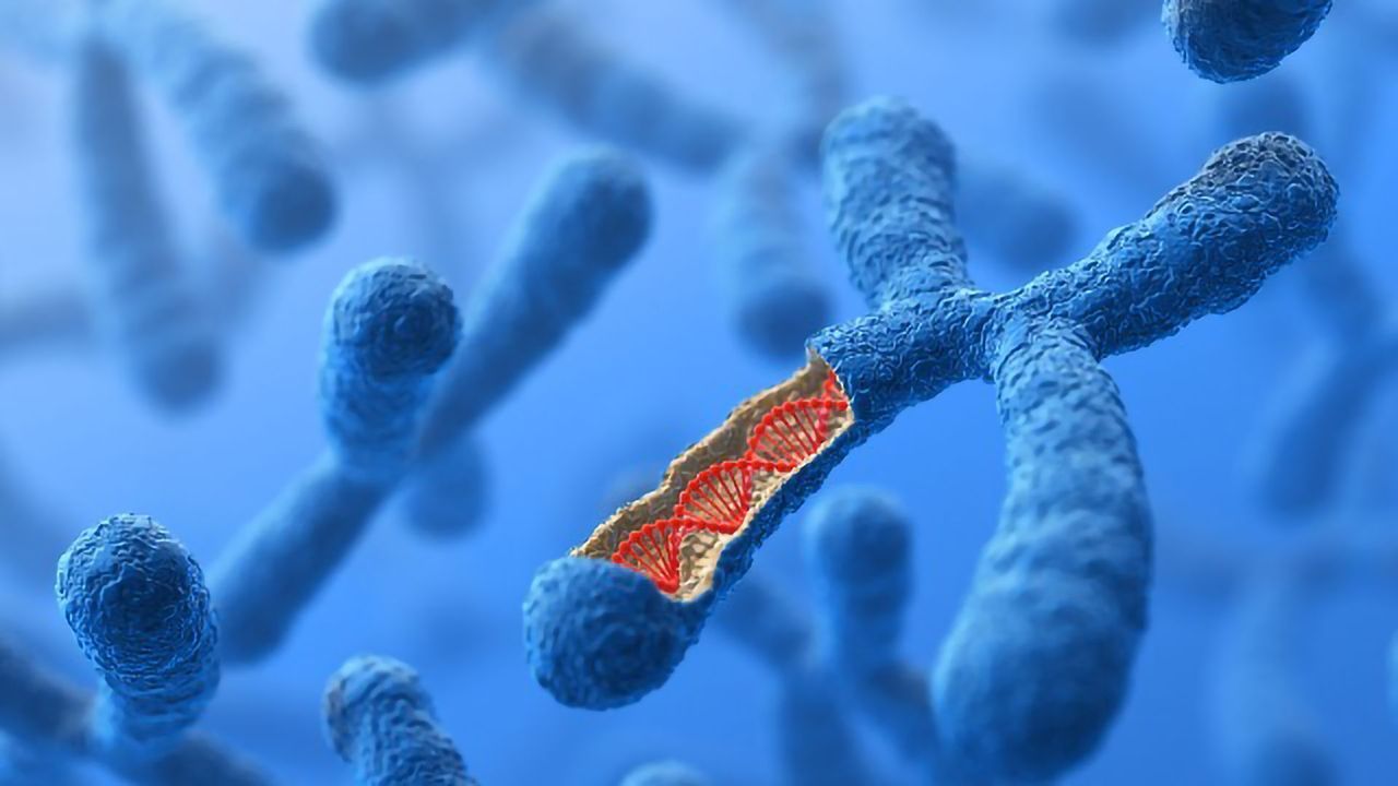 Using Single Cells To Get the Whole Picture of the Epigenome