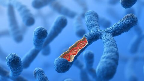 Using Single Cells To Get the Whole Picture of the Epigenome