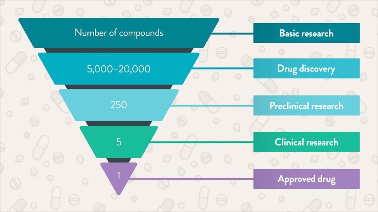 Exploring the Drug Development Process