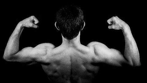 Muscle Stem Cells Compiled in "Atlas"