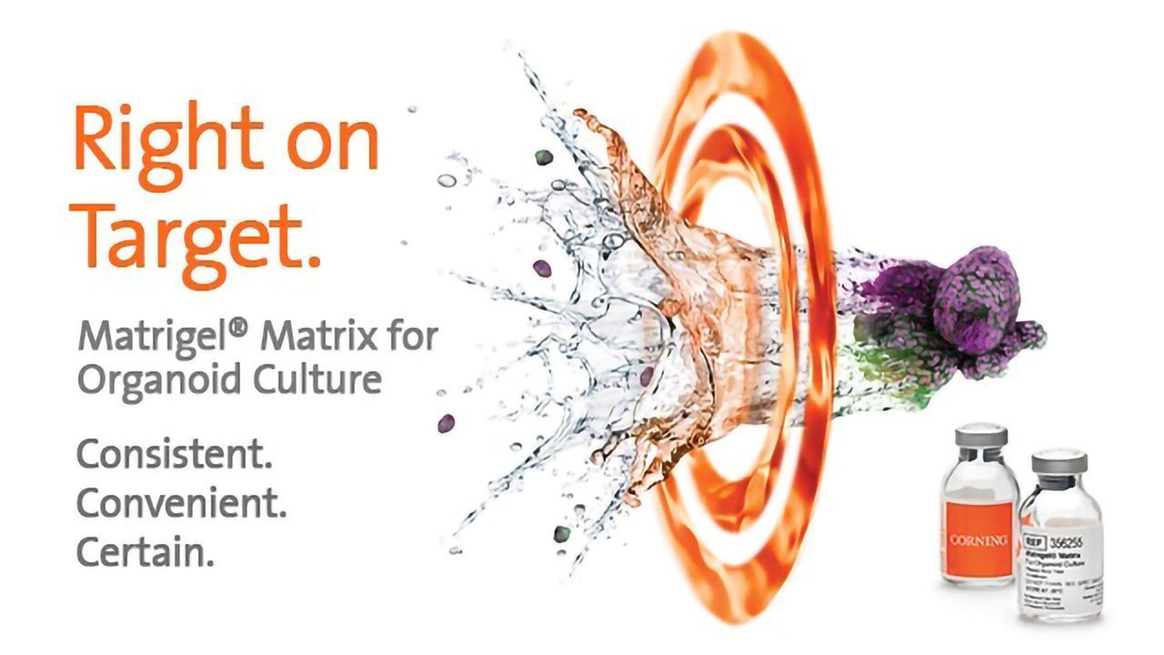 Corning® Matrigel® Matrix for Organoid Culture