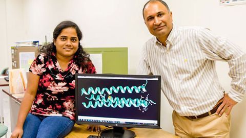 Chemists Strive for the Holy Grail