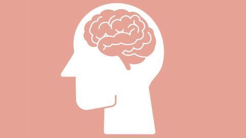 The Delicate Dance of Dynamic Changes in the Conscious Brain