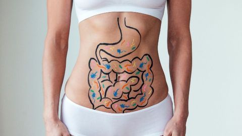 How Diet Can Impact Multiple Sclerosis Progression