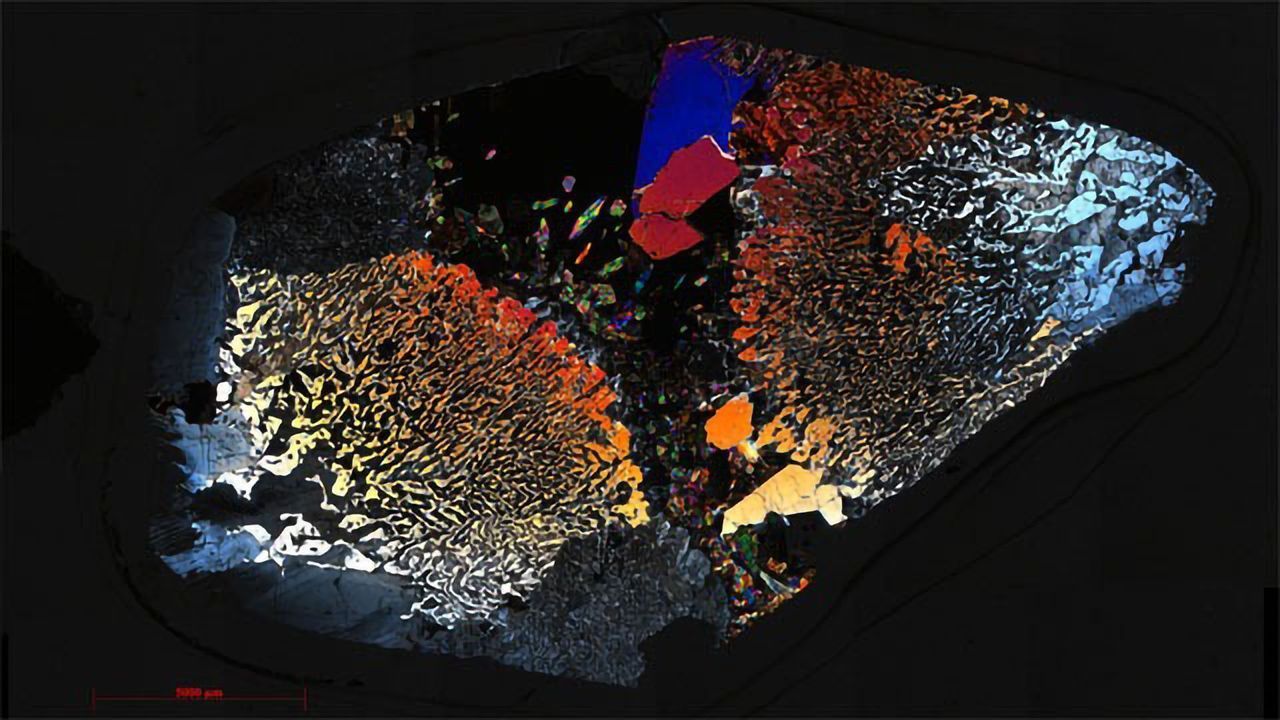 Recycling Key for Microbial Life in the Deep Ocean