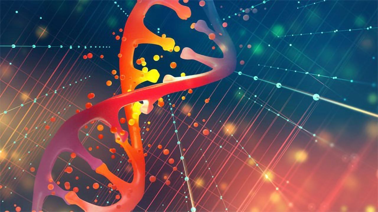 GeneArt Gene Synthesis