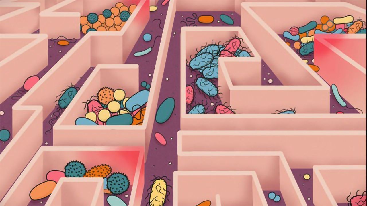 As You Age, So Does Your Microbiome