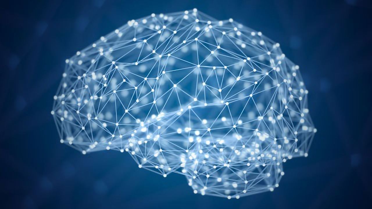 Brain Reward Circuitry Functions Differently in Anorexia Patients