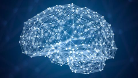 Brain Reward Circuitry Functions Differently in Anorexia Patients