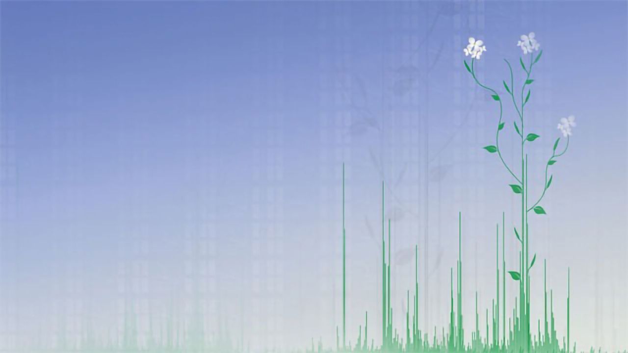 First Proteome Map of Model Plant