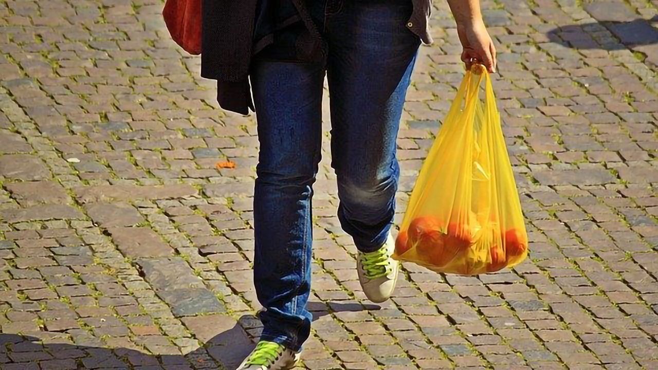 Tracking the Life of a Microplastic Particle