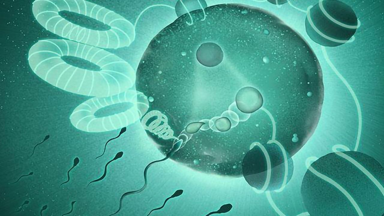 Unpacking Dad’s Genome To Merge it With Mom’s