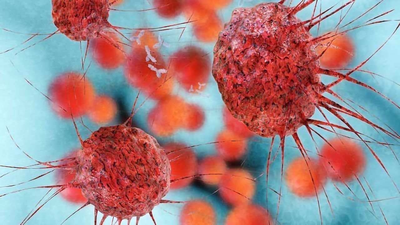 Chemical Conjugate Simultaneously Attacks Several Cancer Targets