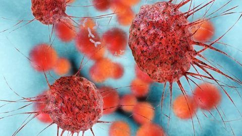Chemical Conjugate Simultaneously Attacks Several Cancer Targets
