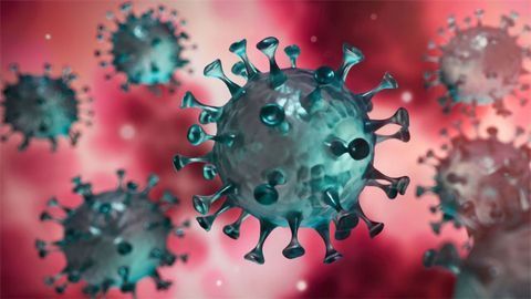 AMSBIO Launch Coronavirus – COVID-19 Research Products