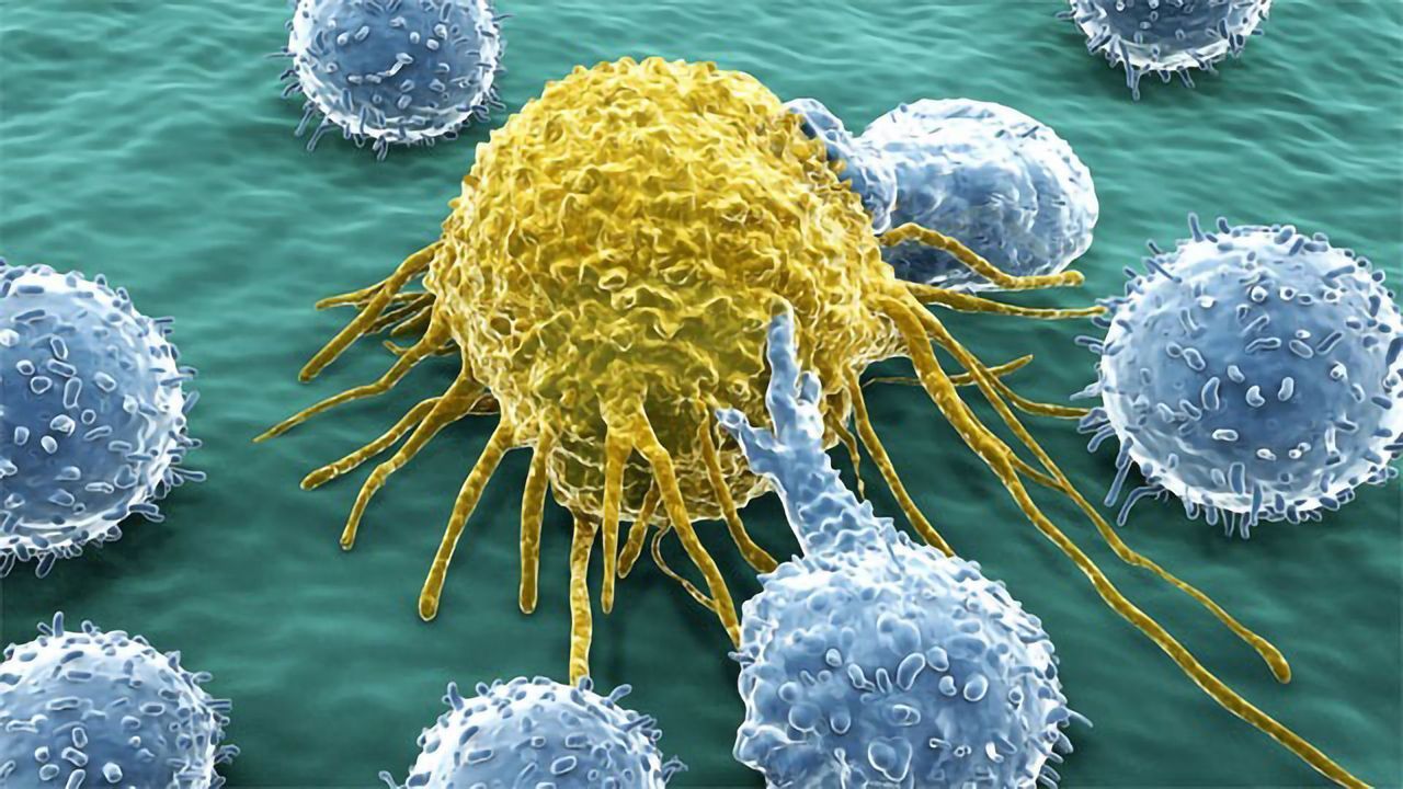 Cell Signaling Insights Leveraged for Glaucoma and Cancer Therapy Development