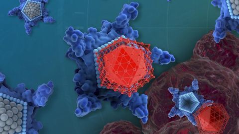 Drug Candidate Could Deliver More Cancer-busting Power Than Chemo