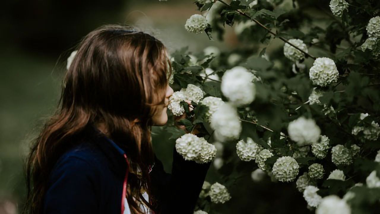 The Scents That Spark Our Memories
