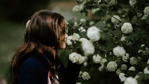 The Scents That Spark Our Memories