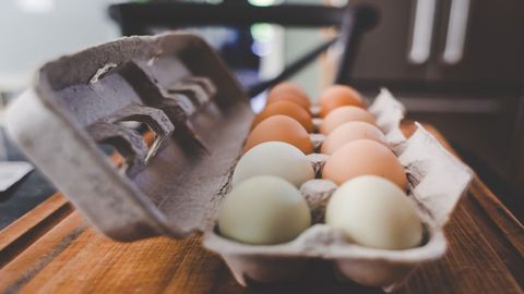 Egg-derived Bioinks for Organ Engineering