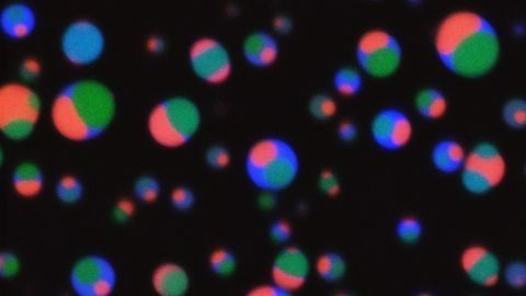 New Method Enables Creation of “Membraneless Compartments”