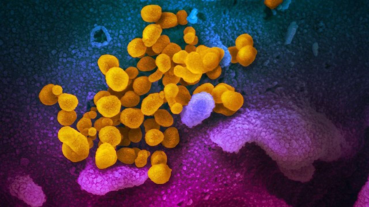 Coronavirus Stable on Surfaces for Hours to Days